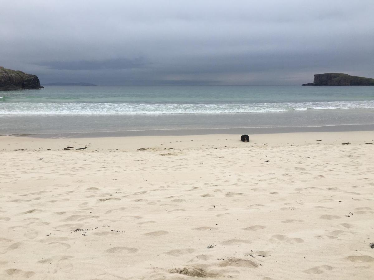 Eco Crofters Wagon By The Beach Oldshoremore 外观 照片